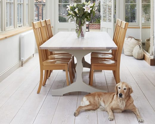 White-washed oak dining table and chairs in a conservatory with a golden retriever
