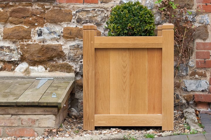 Oak planter with box shrub standing against a rustic flint and brick wall