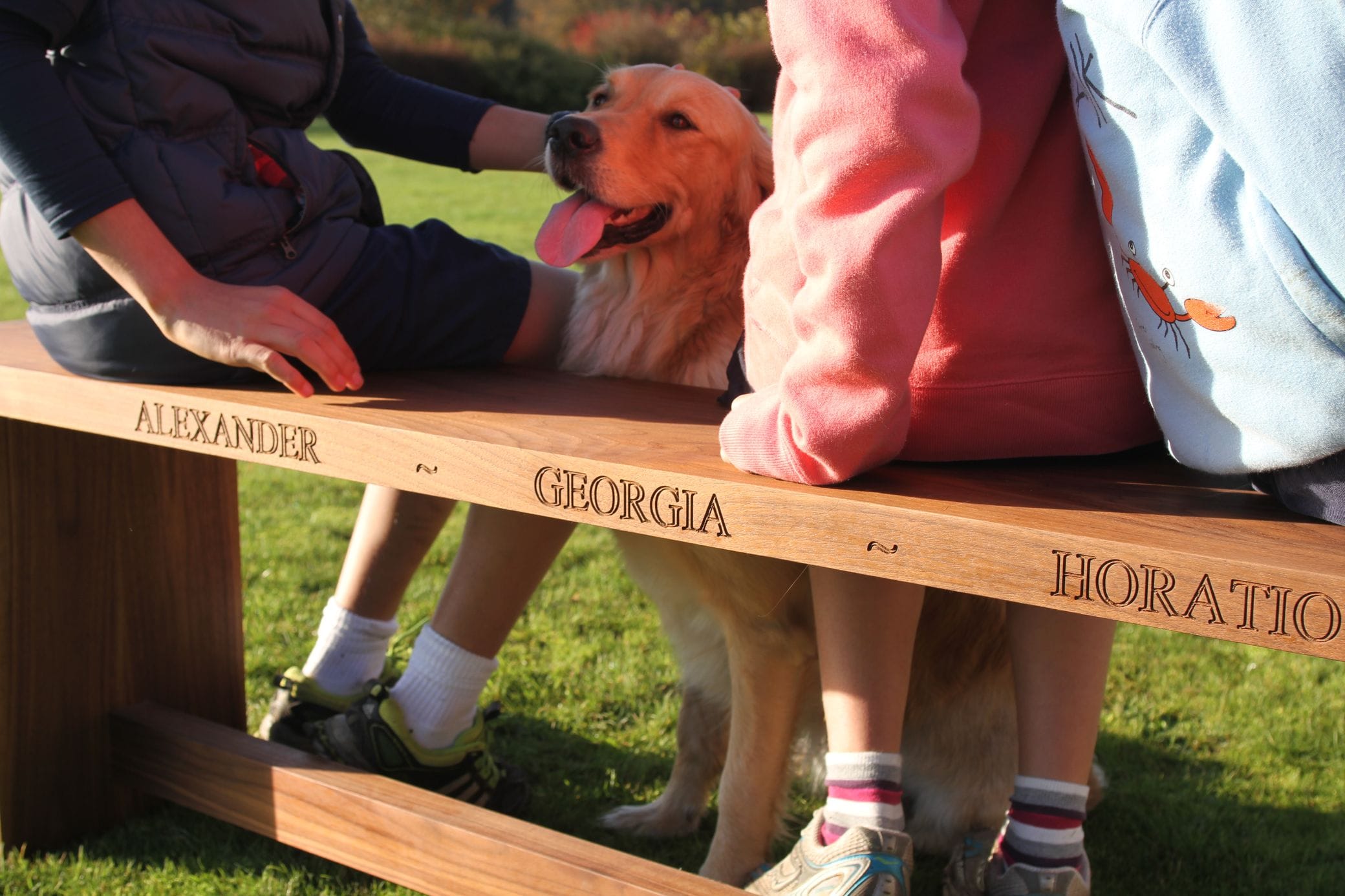 Children and a golden retriever on a walnut bench engraved with names