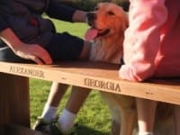 wooden hardwood benches
