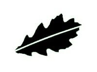 Norfolk Oak black oak leaf logo