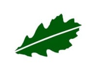 Green oak leaf symbolising Norfolk Oak's environmental policy