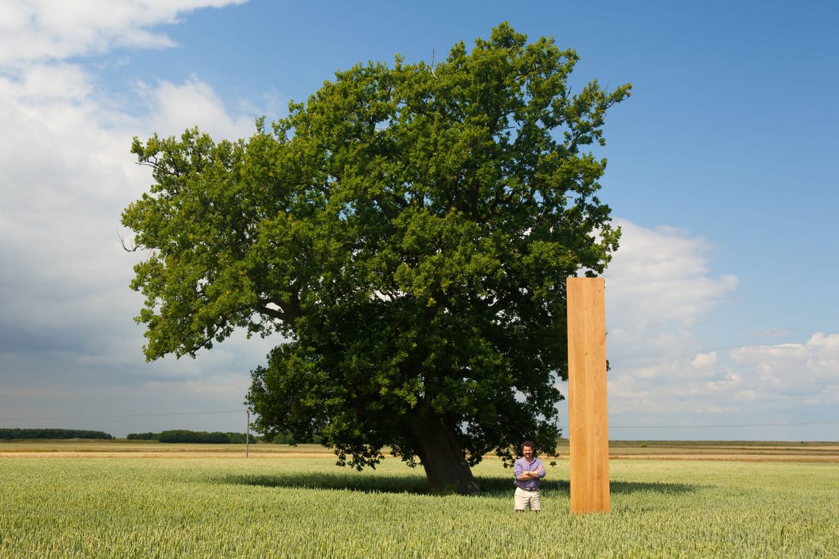 Man standing beside a tall oak worktop under a mature oak tree in a field