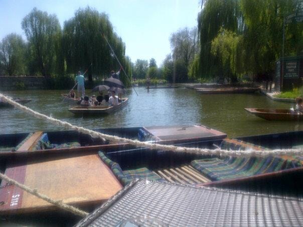 Punts on a willow-lined river on a sunny day