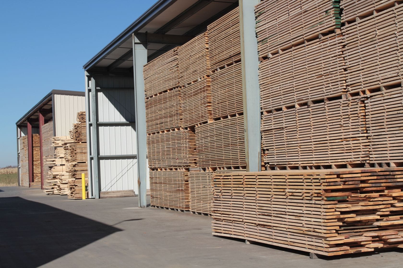 Tall stacks of air-drying oak boards outside timber storage sheds under a blue sky