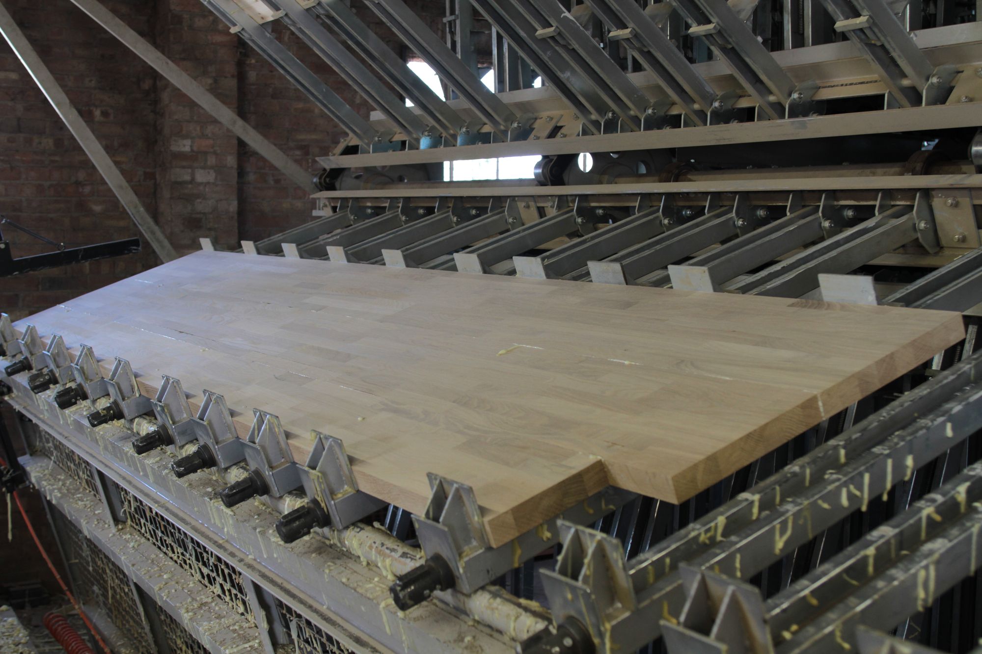 Freshly glued oak worktop lying on the clamp rack awaiting release