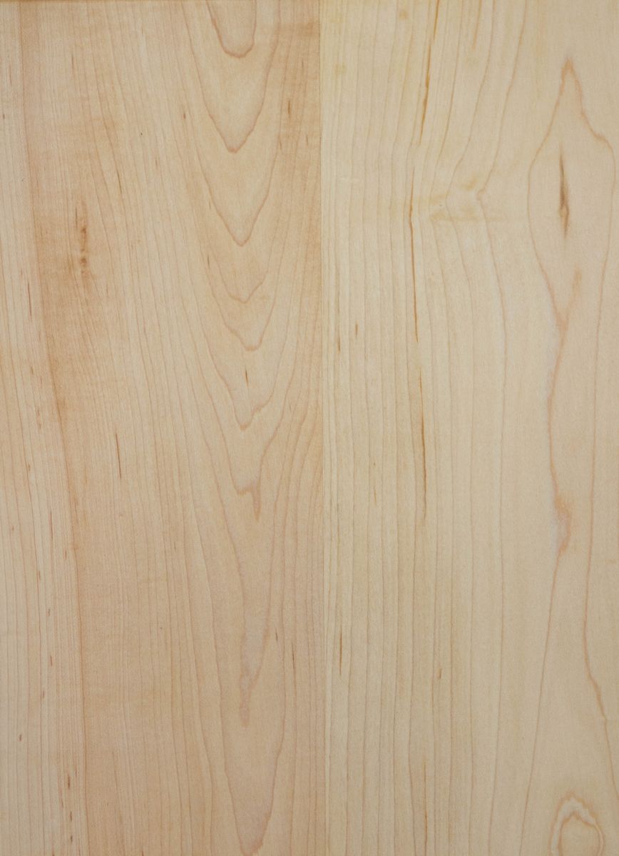 Pale maple timber sample with subtle, even grain